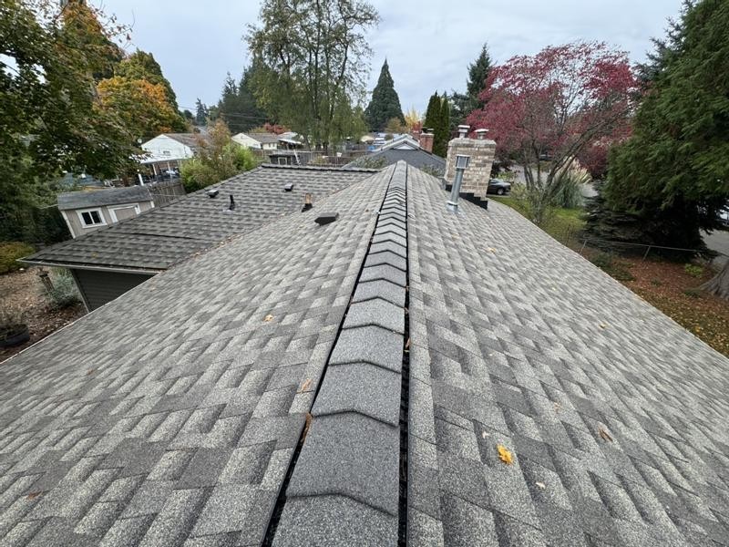 GAF Timberline HDZ Shingles – BIRCHWOOD