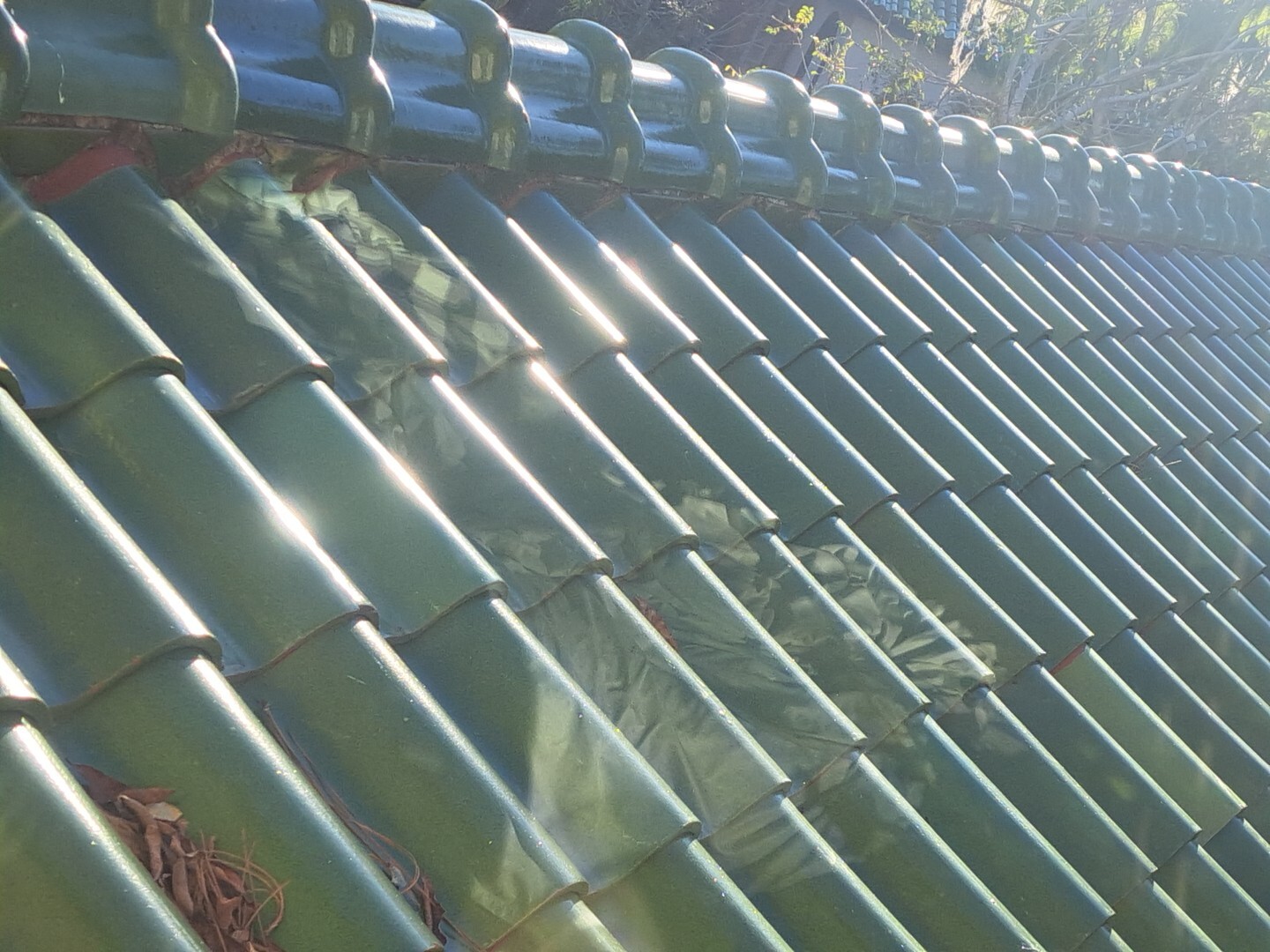Ludowici Green Finish S Shape Roof Tiles (Clay)