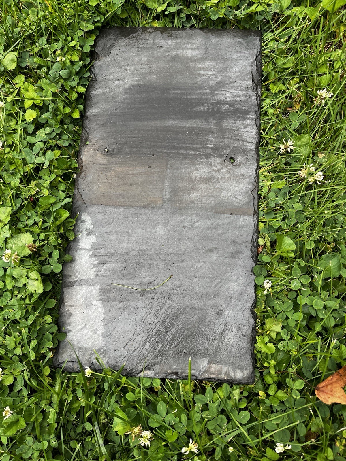 Buckingham Black Slate Rectangular Roof Tile 20 x 10 in, Matte, A1